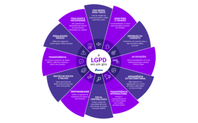 LGPD lei nº 13.709, e os principais pontos: como se preparar para a nova lei.
